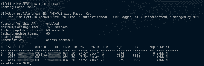 aerohive show roaming cache